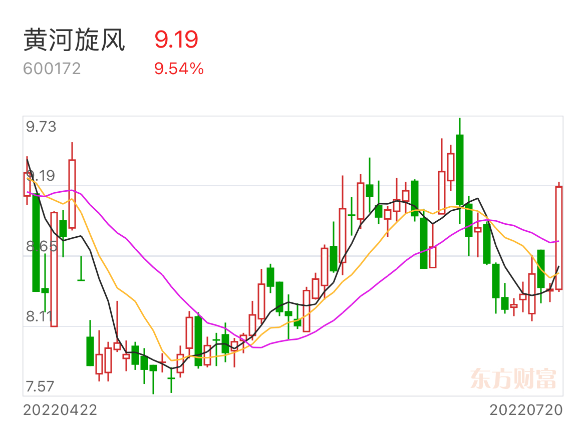 黃河旋風(fēng)股票，投資潛力與前景展望，黃河旋風(fēng)股票，投資潛力與未來前景展望