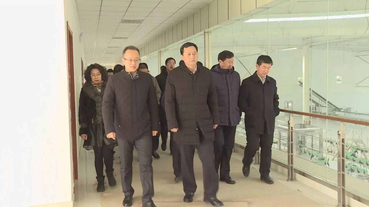 駱駝股份股吧深度解析，探究企業(yè)潛力與價(jià)值，駱駝股份股吧深度解析，探究企業(yè)潛力與價(jià)值展望