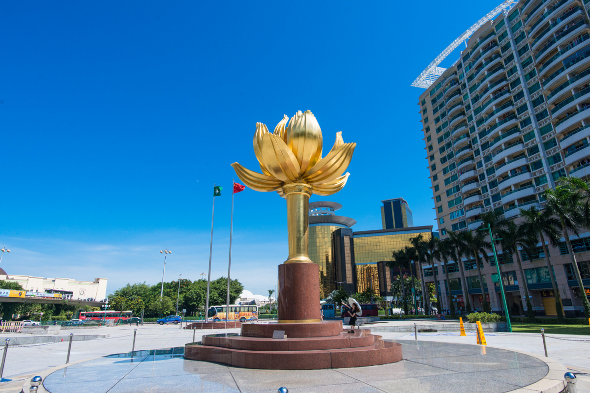 澳門一碼一肖一待一中四不像——揭開神秘面紗下的真相，澳門神秘事件揭秘，一碼一肖一待一中四不像真相探索