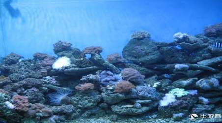 青島海底世界門票價(jià)格大全，探索海洋的門票費(fèi)用是多少？，青島海底世界門票價(jià)格詳解，探索海洋之旅的費(fèi)用是多少？