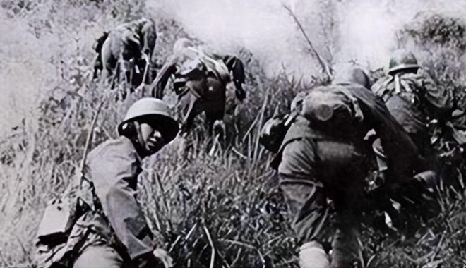 對越自衛(wèi)反擊戰(zhàn)，歷史回顧與意義解析，對越自衛(wèi)反擊戰(zhàn)，歷史回顧與深遠意義解析