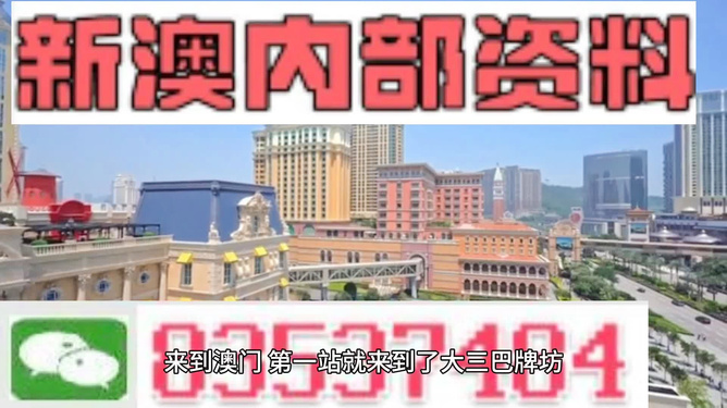 新澳新澳門正版資料，探索與解析，新澳新澳門正版資料深度解析與探索