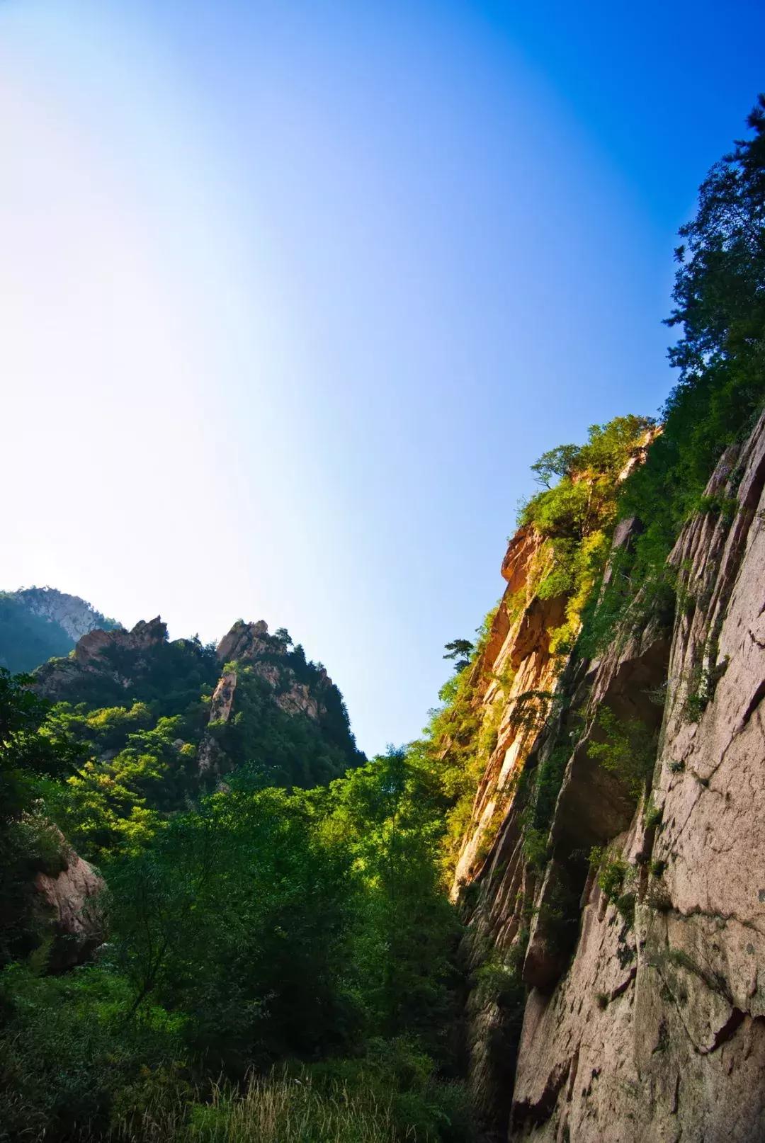 劉伯溫一肖中特130期，揭秘神秘預(yù)測背后的故事，劉伯溫一肖中特130期揭秘，神秘預(yù)測背后的真相探秘