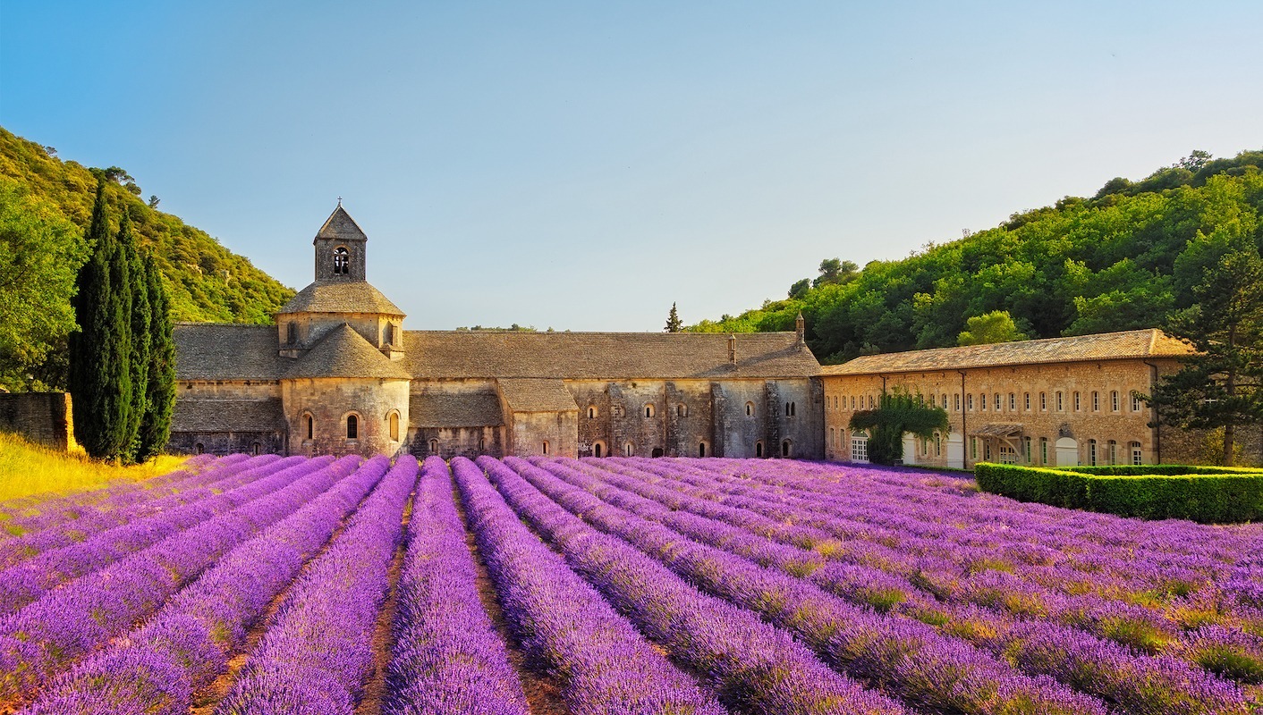 普羅旺斯薰衣草，夢幻之地的無盡魅力與SEO優(yōu)化秘籍，普羅旺斯薰衣草，夢幻勝地的魅力與SEO優(yōu)化攻略