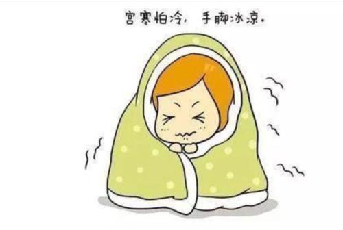 目前市面上效果最好的減肥藥——探索最佳瘦身伙伴，探索最佳瘦身伙伴，目前市面上效果最佳的減肥藥