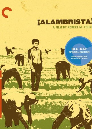 今天正版四不像，深度解析其特點(diǎn)與魅力，正版四不像深度解析，特點(diǎn)與魅力探究