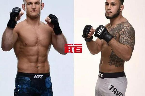 澳門(mén)六開(kāi)獎(jiǎng)結(jié)果記錄圖，探索彩票背后的秘密，澳門(mén)六開(kāi)獎(jiǎng)結(jié)果記錄圖揭秘彩票背后的秘密