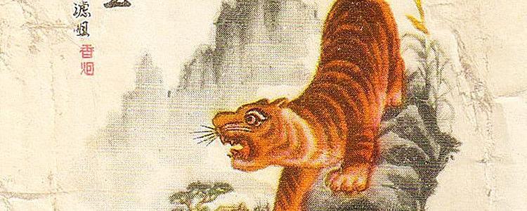 猛虎下山王中王，一生肖的獨(dú)特象征與奧秘，猛虎下山，生肖的獨(dú)特象征與奧秘