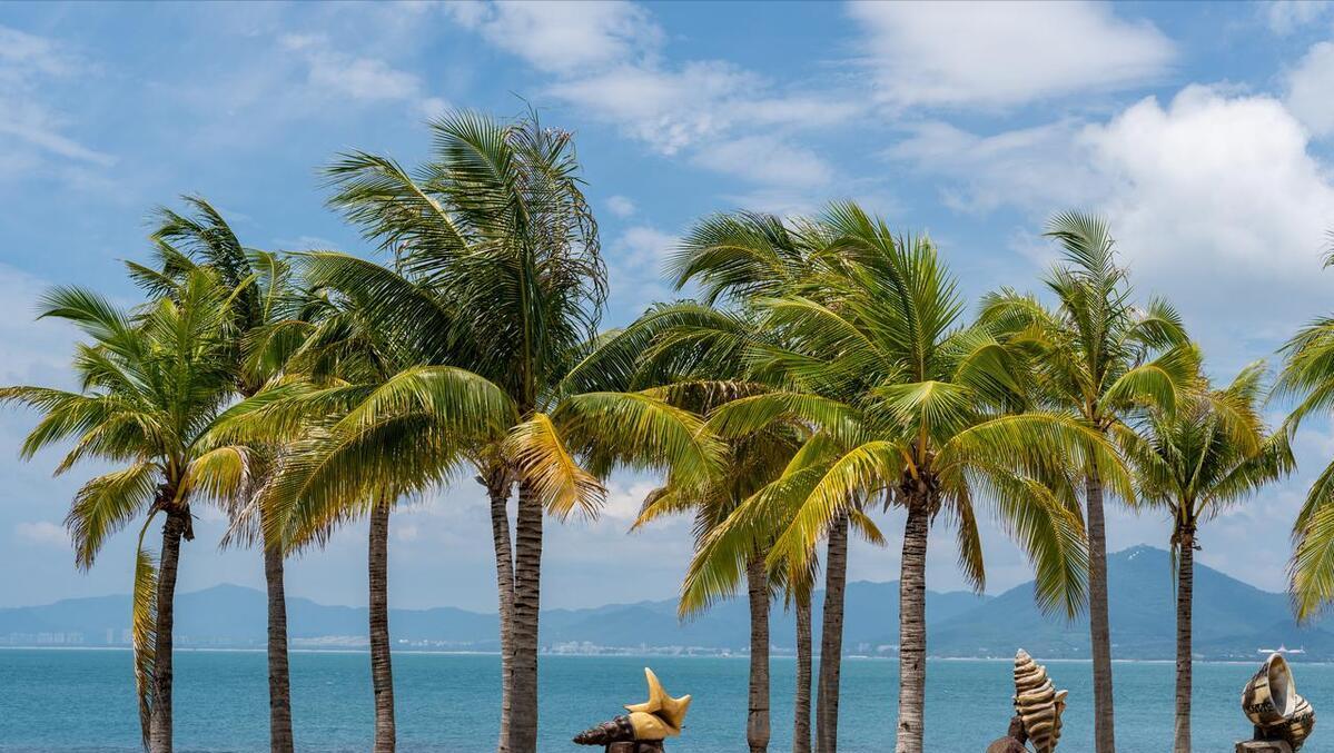 澳門一肖中100%期期準(zhǔn)海南特區(qū)號(hào)，揭秘彩票預(yù)測(cè)背后的秘密，澳門一肖精準(zhǔn)預(yù)測(cè)彩票背后的秘密，期期準(zhǔn)海南特區(qū)號(hào)揭秘彩票預(yù)測(cè)之道