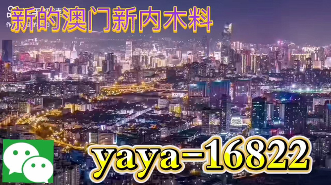 今晚澳門買什么最好？探索最佳選擇與策略，澳門今晚最佳選擇與策略探索指南