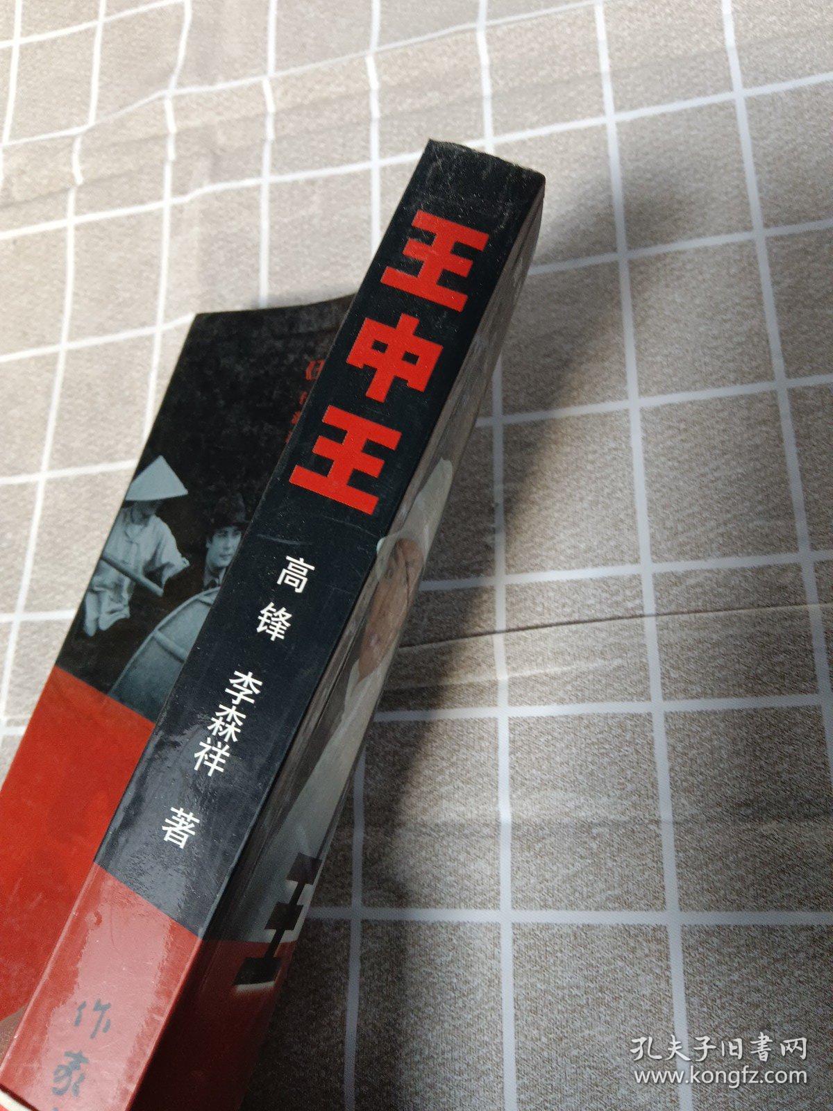 王中王資料一肖中官家，深度解析與探索，王中王資料揭秘，一肖中官家的深度解析與探索