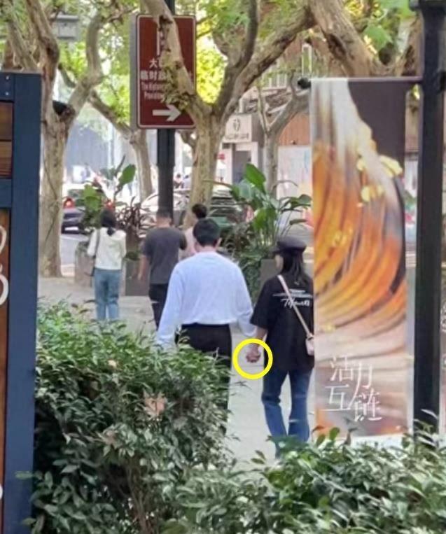 鮑蕾個(gè)人資料圖片，深度解析與探索，鮑蕾個(gè)人資料圖片，深度探究與揭秘